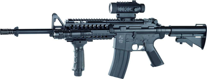 AEG COLT M4 RIS WARINC