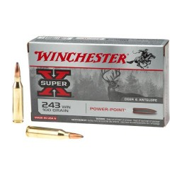 WINCHESTER 243  150GR PP X20