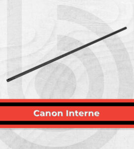 Canon interne
