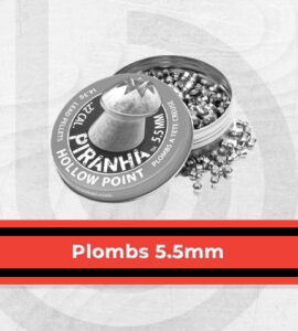 Plombs 5.5mm